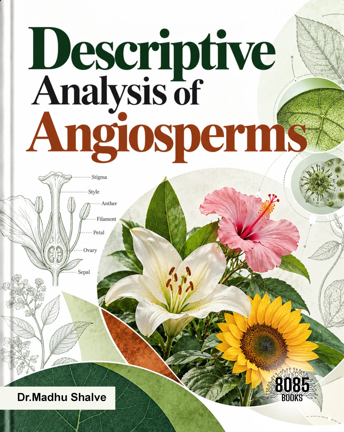 Descriptive Analysis of Angiosperms
